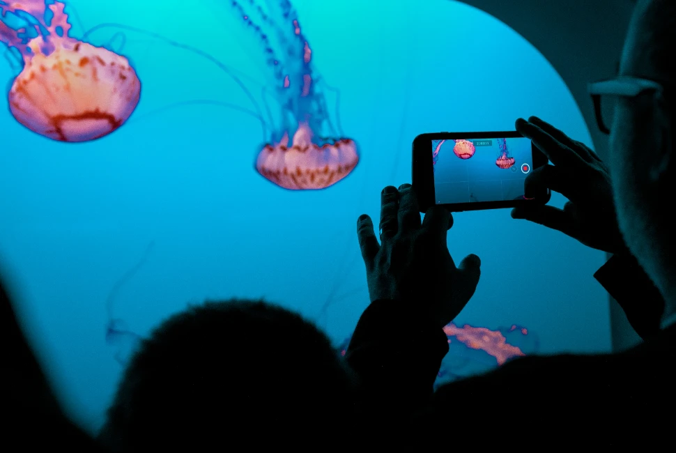 Discovering Monterey: Unforgettable Attractions and Activities
