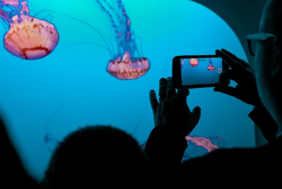 Discovering Monterey: Unforgettable Attractions and Activities